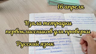 Взяла на проверку тетради по русскому языку