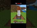 Minecraft, But It's More Snow Golem...