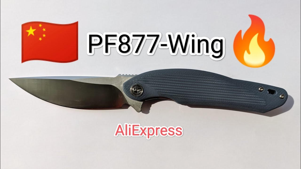 Petrified Fish "Wing" PF-878