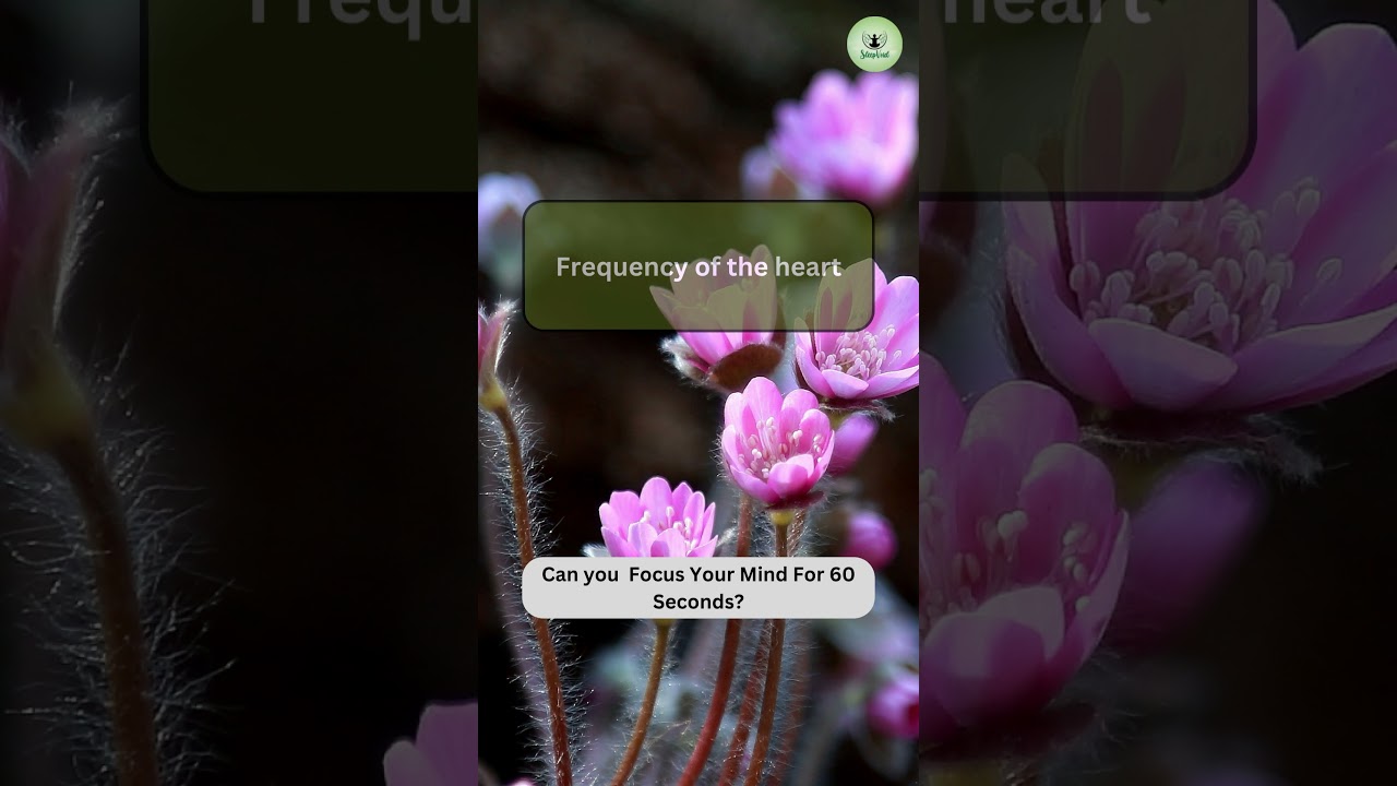 Frequency of the heart Meditation Music 🧘🧘🏼🧘🏻‍♂️✨🧎🏻‍♀️🧎‍♀️🧘🏽‍♀️🙏🏻🧘‍♀️ 
