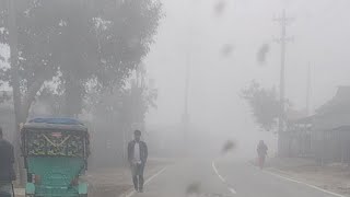 Exploring the Beauty of Dense Winter Fog: A Travel Blog with Live Video screenshot 2