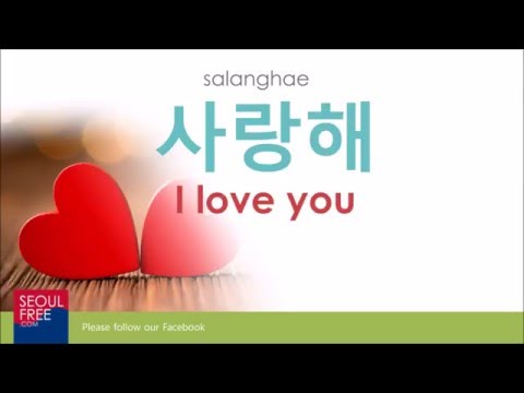 How To Say I Love You In Korean Learn Korean Youtube