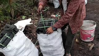 Primitive Technology Reusable charcoal