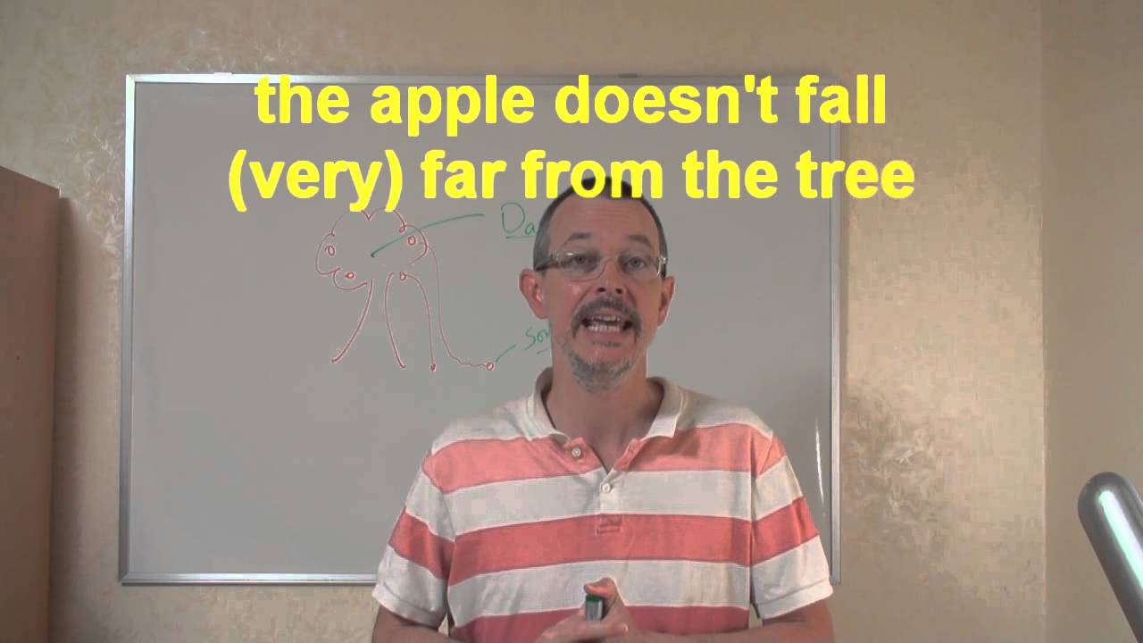 Apple doesn t. The Apple doesn’t Fall far from the Tree. The Apple doesn't Fall. 7. The Apple doesn’t Fall far from the Tree.. The Apple doesn't Fall far from the Tree перевод идиомы.