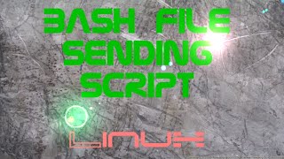 Send Binary File With Bash Script Server & Client In Linux