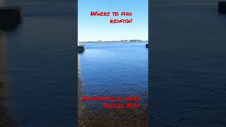 Where to find Redfish, Jacksonville, Fl Butler Blvd