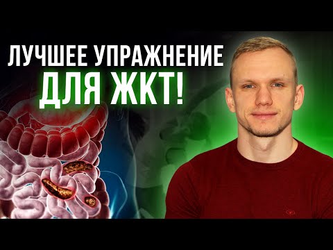 Как наладить работу ЖКТ при помощи ОДНОГО УПРАЖНЕНИЯ? / Упражнение для здоровья жкт