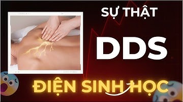 Điện Sinh Học DDS Là Gì? Ứng Dụng DDS Trong Chăm Sóc Sức Khỏe | Thành Dinh Dưỡng