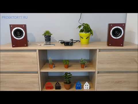 Антикризисный стереокомплект: Teac LS-301 + SMSL SA-36A PRO