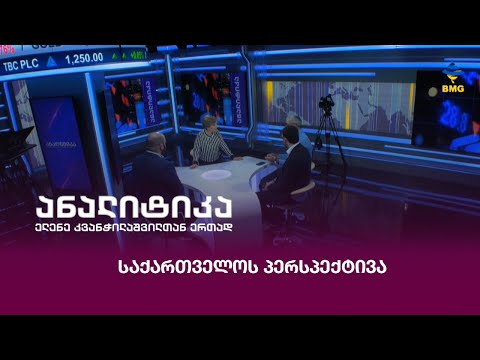 საქართველოს პერსპექტივა
