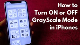 How to Turn On/Off iPhone Grey Colour Screen | iPhone GrayScale Mode automation