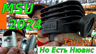 :  MSU 2024.    .