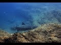 Video:  El Hierro August 2019