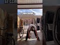 🐾 #viralshorts #viral #perros