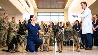 Information A Nurse Saved 3 Military Dogs When Experts Failed... Then They Discovered Her Hidden Past Guide