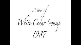 A Tour of the White Cedar Swamp