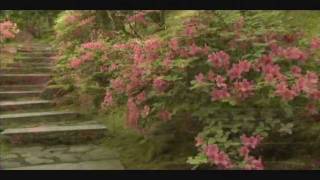 video  cristiana-coro seremos levantados con poder - avivamiento