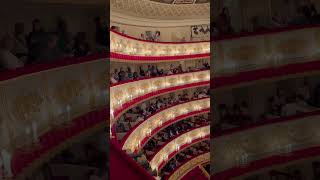 Александринка 1