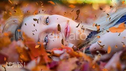 Falling Leaves Pack | Motion Graphics - Envato elements