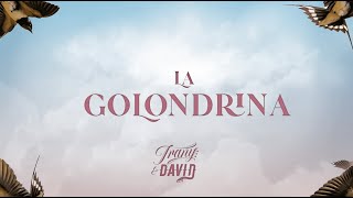 Video thumbnail of "Irany & David - La Golondrina (Visualizer)"