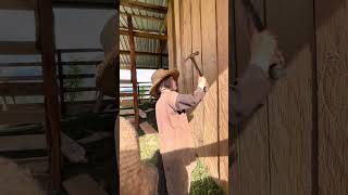 Finishing up tack room walls #offgrid #barnbuilding #homestead