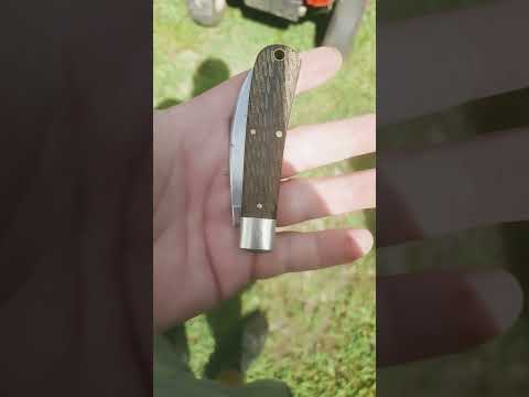 gec 1 or 16