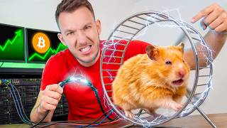 NUTÍM KŘEČKA VYDĚLAT MI NA NÁJEM! 🐹 | Hamstr Protocol