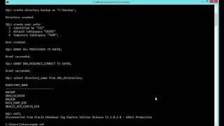 Exportar  e Importar BD - Oracle XE 11g