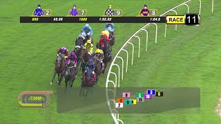 Vidéo de la course PMU QUEEN ELIZABETH II CUP