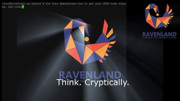 Ravenland Swarm (IPFS Master Node) Mirror Service Demo + Instructions