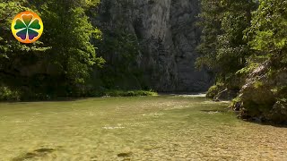Звуки Природы | Звук Горной Реки | Расслабляющая Музыка