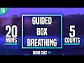 Guided box breathing  20 minute meditation 5555