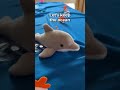 Dolphin Toy's Oceanic Adventure: Marine Conservation Matters