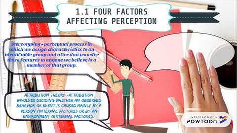 perception and learning in organization by ain