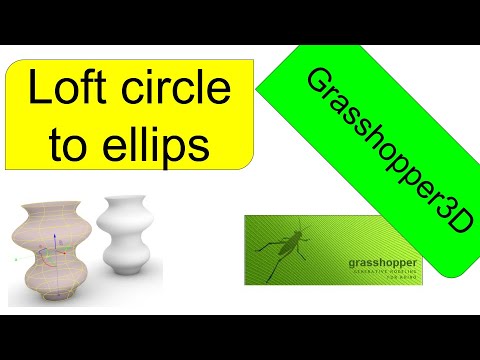 004_ Grasshopper 3D_ Beginner two shape (cricle to ellips) transportation loft