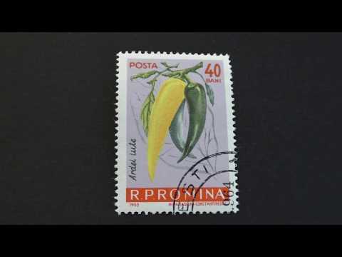 Postage stamp. Posta Romana. Ardel iure. 1963. Price 40 bani