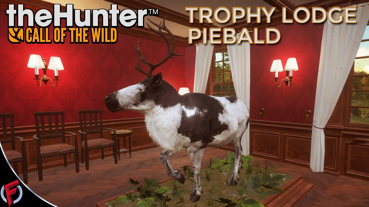 The Hunter Call of the Wild 120 PieBald Caribou On Yukon Valley