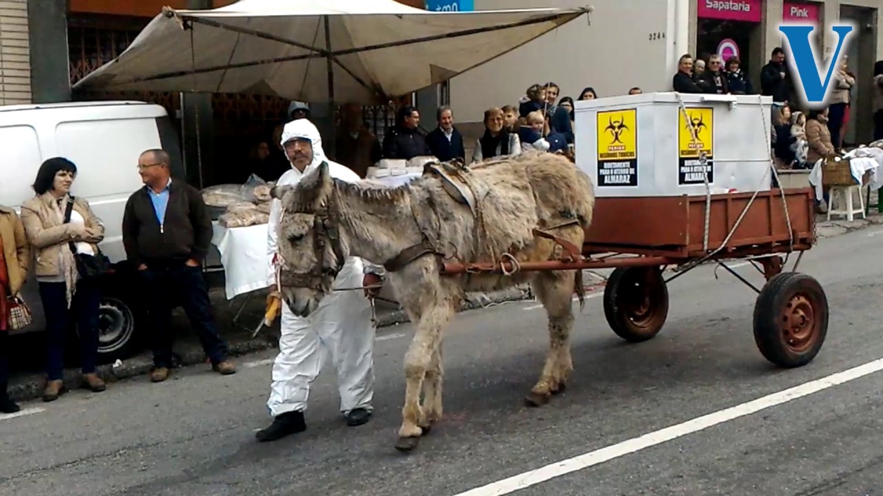 Desfile Concelhio de Carnaval em Baião foi o mais concorrido de sempre -  Câmara Municipal de Baião