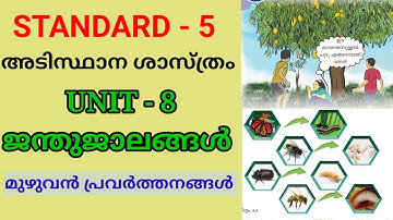 ജന്തുജാലങ്ങൾ | STD 5 BASIC SCIENCE UNIT 8 | CLASS 5 CHAPTER 8 JANTHUJAALANGAL