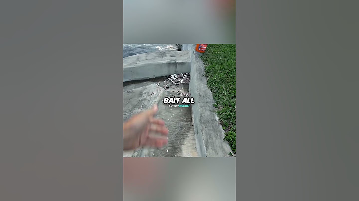 Fisherman Gets Thrown With Dead Fish 😳 Creds:@RyanIzfishing