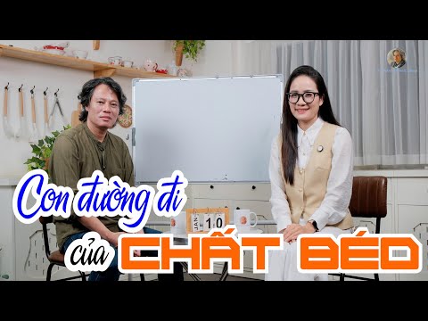Con đường đi của Chất béo: Hiểu đúng để không sợ Mỡ