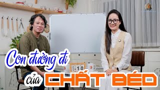 Download Lagu Con đường đi của Chất béo: Hiểu đúng để không sợ Mỡ MP3