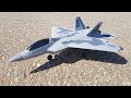 Самолет F22 Raptor на радиоуправлении