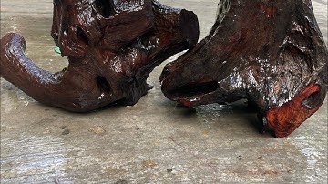 GL 2 gốc trắc dây krôngpa Vân cực víp chun sụn 16kg đục đẽo làm đôn víp ạ giá lh033.891.8991TGQ