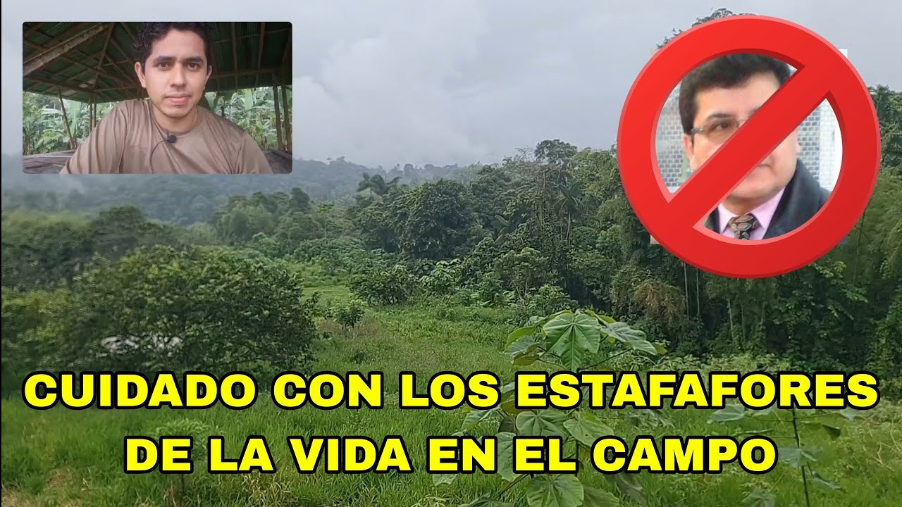 CUIDADO CON LOS ESTAFADORES DE LA VIDA EN EL CAMPO (Nelson Berrú) - YouTube