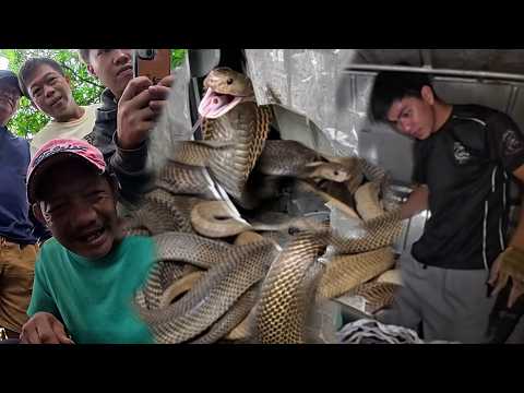NAG LALABASAN NA AT NAMAMASOK NG BAHAY BAHY ANG MGA COBRA