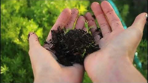 Medication And The Environment