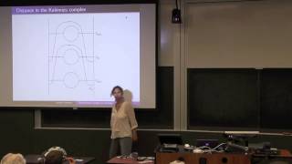 Jennifer Schultens - The Kakimizu complex of a surface