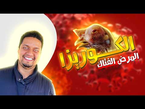 تلقيح ضد ثاني أخطر فيروس فتاك سر اللقاح طويل المفعول 