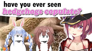 Marine gets Korone and Pekora to watch cute Animal Videos